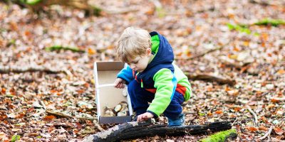 Scientific Observation: From Curious Infant to Experimenting Toddler