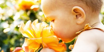 Flower Fun: Stimulate Smell, Sight, and Touch